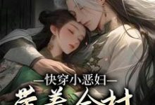 已完结小说《快穿小恶妇,带着全村一起奔小康》章节免费阅读-经典文学