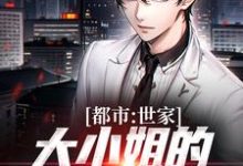 都市：世家大小姐的漫漫追夫路小说，都市：世家大小姐的漫漫追夫路最新章节-经典文学