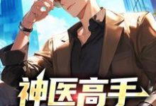 神医高手下山混都市章节免费在线阅读，叶尘纪欣然完结版-经典文学