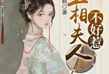 盛安蓝沈白屿乐冉娜宁为主角的小说丞相夫人不好惹在线阅读-经典文学