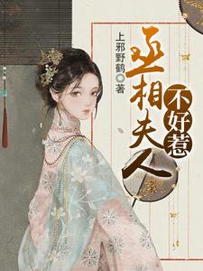 盛安蓝沈白屿乐冉娜宁为主角的小说丞相夫人不好惹在线阅读