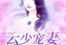 云少宠妻有点甜小说全文阅读需要付费吗?寻找免费资源-经典文学