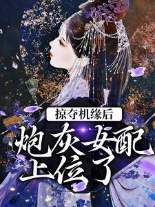 寻找能够免费阅读掠夺机缘后，炮灰女配上位了小说的平台
