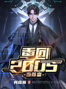 《重回2005当首富》小说章节列表免费试读，王首富徐海书沙巴克海书小说在线阅读