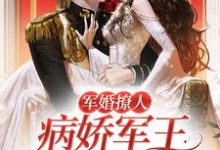 宁姿顾星澜为主角的小说好看吗？免费读军婚撩人，病娇军王狂求我贴贴-经典文学