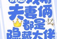 主人公叫夏安心慕北宸的小说哪里免费看-经典文学
