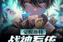 觉醒推特战神系统,我大杀四方小说,觉醒推特战神系统,我大杀四方林昊-经典文学