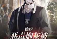 快穿：恶毒炮灰被疯批们强制爱了时安，快穿：恶毒炮灰被疯批们强制爱了在线无弹窗阅读-经典文学