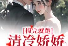 撩完就跑，清冷娇娇不想负责小说无弹窗阅读的网站推荐-经典文学