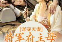 宠妾灭妻?将军府主母她彻底摆了小说的免费阅读版本在哪里可以找到?-经典文学