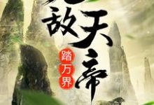 无敌天帝踏万界这本小说怎么样?免费在线阅读试试-经典文学