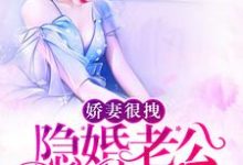 求推荐可以免费阅读娇妻很拽:隐婚老公,宠翻天小说的网站-经典文学