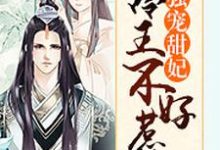 主角叫秋月伊百里陌寒司徒晨阳暖春小说独宠甜妃：冷王不好惹章节免费阅读-经典文学
