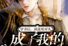 主人公叫洛池清墨锦之的小说哪里免费看-经典文学