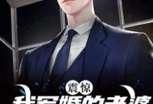 于向念程景默为主角的小说叫什么？免费看震惊！我军婚的老婆成富婆了-经典文学