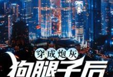 主角叫苏星语陆瑾辰的小说在哪阅读-经典文学