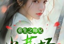 谢揽星陆衔月是哪本书的主角？寻找重生之师兄火葬场免费阅读-经典文学