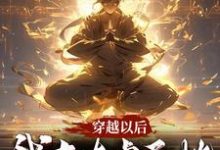 穿越以后,我在太虚圣地做圣子苏尘在线章节免费阅读-经典文学