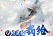 穿越武综,我给邀月解毒林凡小说在线章节目录阅读最新章节-经典文学