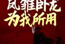 完结版《三国:开局娶妻,凤雏卧龙为我所用》章节阅读-经典文学