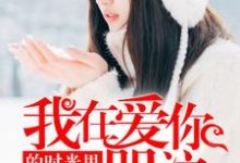 小说《我在爱你的时光里哭泣》章节免费阅读-经典文学