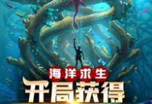 楚风娜美为主角的小说海洋求生：开局获得提示外挂在线阅读-经典文学