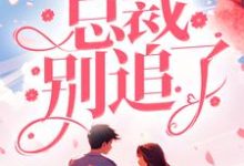 已完结小说《夫人改嫁了，总裁别追了！》章节免费阅读-经典文学