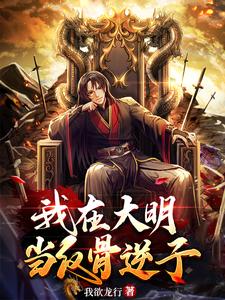 求朱高煴朱棣小说免费资源