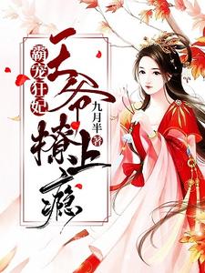 霸宠狂妃：王爷撩上瘾！叶晚昭墨北谦，霸宠狂妃：王爷撩上瘾！小说免费阅读