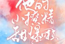 求他的小撩精甜爆啦小说免费资源-经典文学
