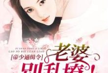 男女主人公苏雅白荣玄宁小说帝少通缉令:老婆,别乱撩章节免费阅读-经典文学