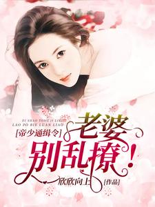 男女主人公苏雅白荣玄宁小说帝少通缉令：老婆，别乱撩章节免费阅读