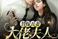 在线寻找苏糖霍瑾琛的小说,替嫁丑妻:大佬夫人A爆了免费阅读-经典文学