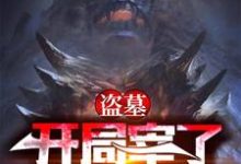 《盗墓:开局宰了怒晴鸡》小说主角秦枫章节章节免费在线阅读-经典文学