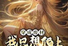 赵昊姜婉儿为主角的小说穿成废材,我只想爬上女帝龙床在线阅读-经典文学
