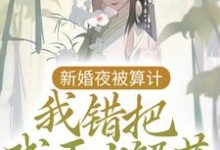 沈艽祁景飏是哪本书的主角？寻找新婚夜被算计，我错把残王当解药免费阅读-经典文学