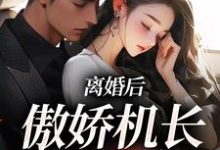 离婚后,傲娇机长求复合(苏娆顾南霆)在线免费阅读-经典文学