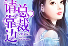 专宠女友,总裁请靠边小说最新更新在哪里?免费在线看-经典文学