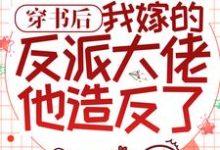 完结版《穿书后,我嫁的反派大佬他造反了》章节阅读-经典文学
