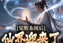 求觉醒系统后，仙界迎来了互联网时代小说的全文免费阅读链接-经典文学