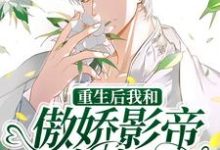 重生后我和傲娇影帝官宣了小说最新更新在哪里?免费在线看-经典文学