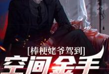 棒梗姥爷驾到，空间金手指开启！小说，棒梗姥爷驾到，空间金手指开启！最新章节-经典文学