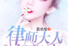 律师大人,轻点疼洛心陆谨言顾淮林愿,律师大人,轻点疼在线无弹窗阅读-经典文学