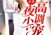 顾雨桐夜凌枭为主角的小说狂妻来袭:夜少,高调宠在线阅读-经典文学