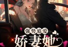 《强势追爱:娇妻她又甜又野》小说章节列表免费试读,厉景焱沈洛依小说在线阅读-经典文学