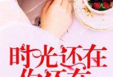 《时光还在，你还在》全集免费在线阅读（林沁扬沈思存沈木荣罗丹）-经典文学