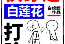完结版《快穿之白莲花打脸专业户》免费阅读-经典文学