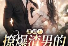 甜诱！撩爆渣男的禁欲小叔宁西纪北延小说免费阅读-经典文学