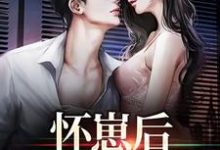 林妮陆予慎的故事在哪本书里?免费阅读怀崽后,公司炸疯了-经典文学