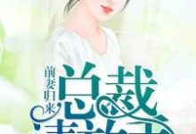 主人公叫夏忆沈默寒楚梦裴俊的小说前妻归来:总裁,请放手在线阅读章节-经典文学